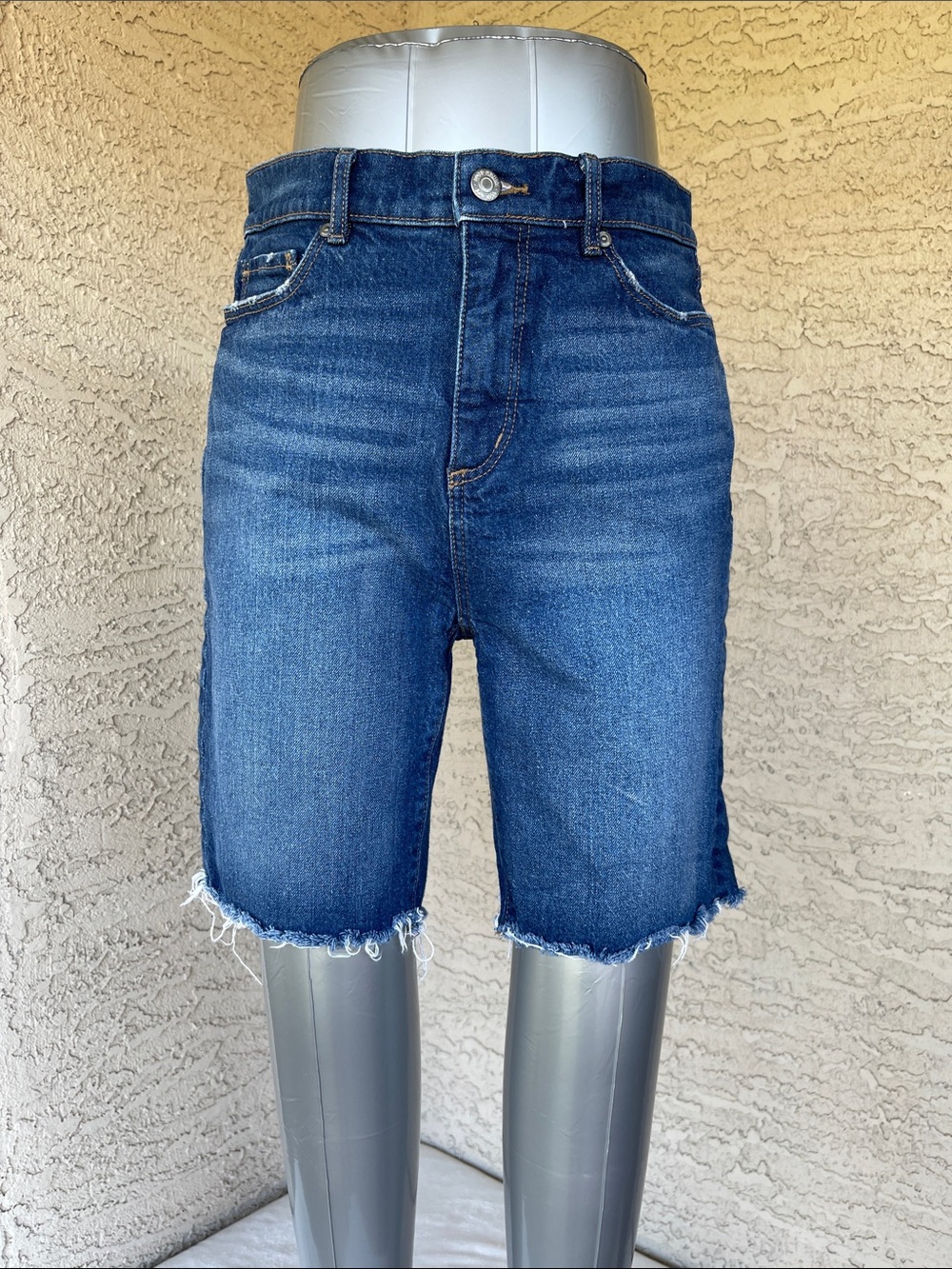 Loft shorts